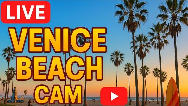Live: venice beach boardwalk cam – chill vibes & ocean views | ready when you're ready live Live: venice beach boardwalk cam – chill vibes & ocean views | ready when you're ready live