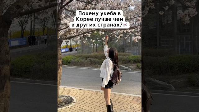 #корея #корея