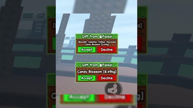 Hari kelima di grow a garden dapet candy blossom 20 juta dari subscriber #roblox #robloxedit #fyp Hari kelima di grow a garden dapet candy blossom 20 juta dari subscriber #roblox #robloxedit #fyp