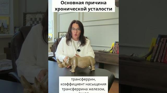 Какова основная причина хронической усталости? Какова основная причина хронической усталости?