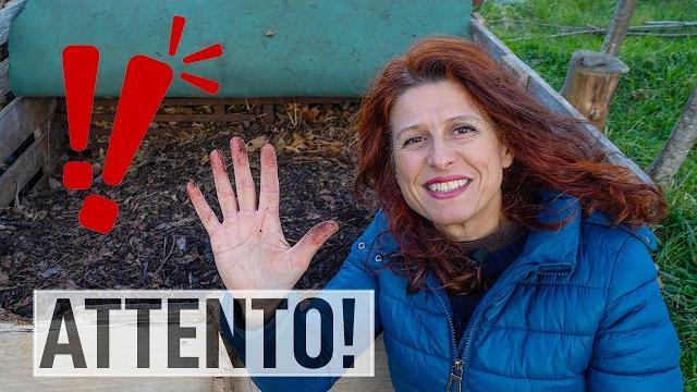 5 errori da evitare nel fare l'orto 5 errori da evitare nel fare l'orto