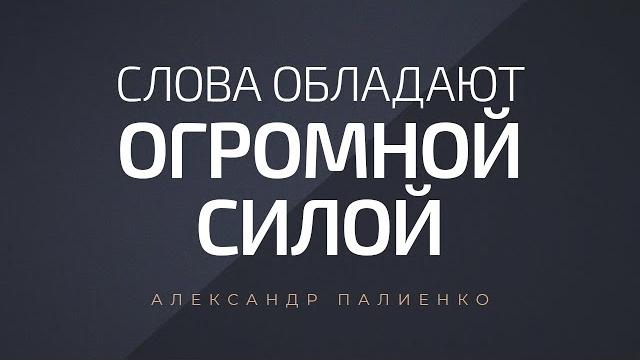 Слова обладают огромной силой. александр палиенко. Слова обладают огромной силой. александр палиенко.
