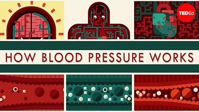 How blood pressure works - wilfred manzano How blood pressure works - wilfred manzano