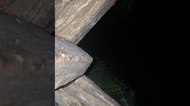 Seram dipantai ada penampakan Seram dipantai ada penampakan