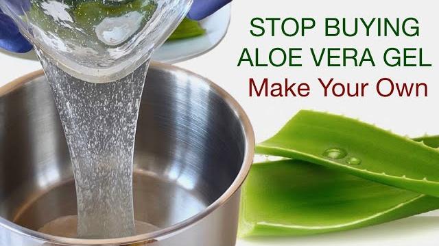 How to make aloe vera gel at home 100% fresh aloe vera gel / only just 4 ingredients How to make aloe vera gel at home 100% fresh aloe vera gel / only just 4 ingredients