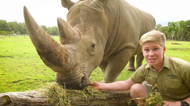 Robert irwin's virtual australia zoo tour! Robert irwin's virtual australia zoo tour!