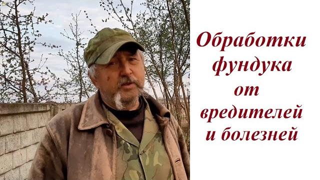 Обработки фундука: сроки, препараты, дозы Обработки фундука: сроки, препараты, дозы