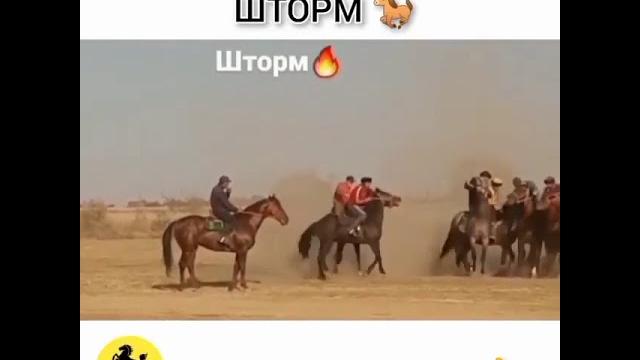 Шторм ең мықты Шторм ең мықты