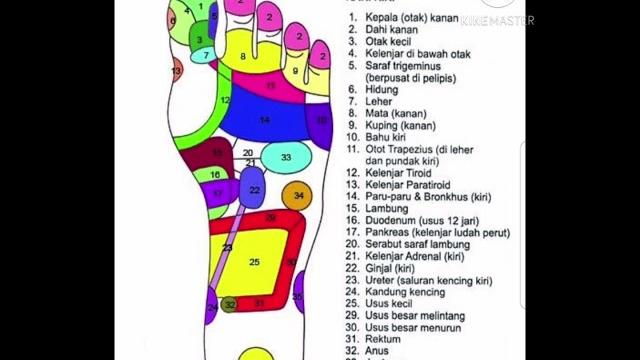 Pijat refleksi pada kaki Pijat refleksi pada kaki