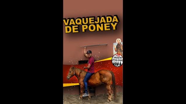 Vaquejada com poney #shorts Vaquejada com poney #shorts