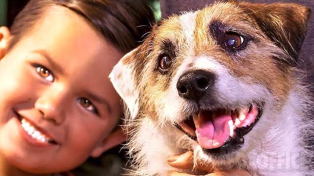 A bond for life | family, adventure | full movie in english A bond for life | family, adventure | full movie in english