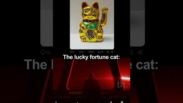 The lucky fortune cat The lucky fortune cat