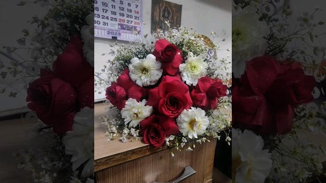 Pro mode photoshoot of flowers or booke #boke #promode #photoshoots #photography #bpro #dslr #shorts Pro mode photoshoot of flowers or booke #boke #promode #photoshoots #photography #bpro #dslr #shorts