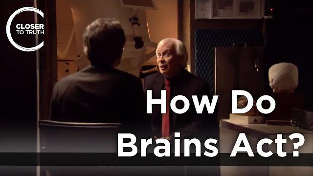 Rodolfo r. llinas - how do brains act? Rodolfo r. llinas - how do brains act?