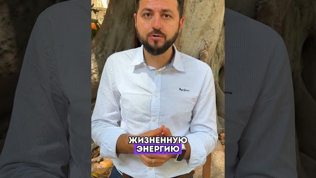 Сколько в день нужно заниматься рейки? | эффективное время практики #рейки #энергия #рэйки Сколько в день нужно заниматься рейки? | эффективное время практики #рейки #энергия #рэйки