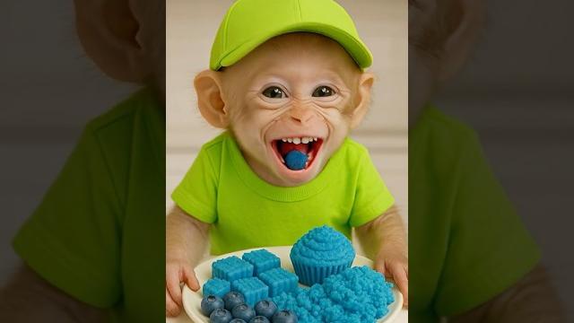 Cute baby monkey eating blue food Cute baby monkey eating blue food