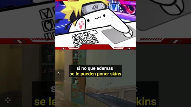 ¡la mejor opción para hacer stream sin cámara! #bongocat #obs #twitch #camara #bongocat ¡la mejor opción para hacer stream sin cámara! #bongocat #obs #twitch #camara #bongocat
