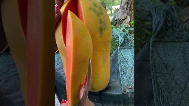 California papaya #papaya California papaya #papaya
