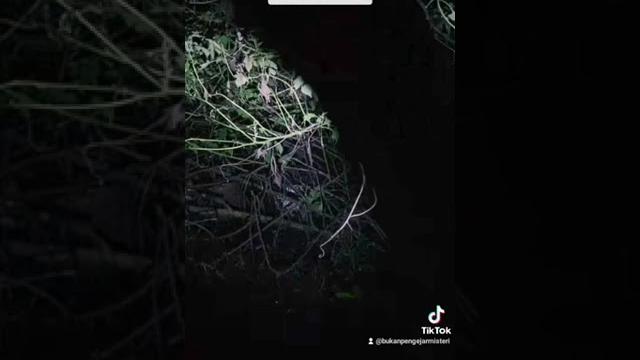 Blunder lagi, live misteri tiktok Blunder lagi, live misteri tiktok