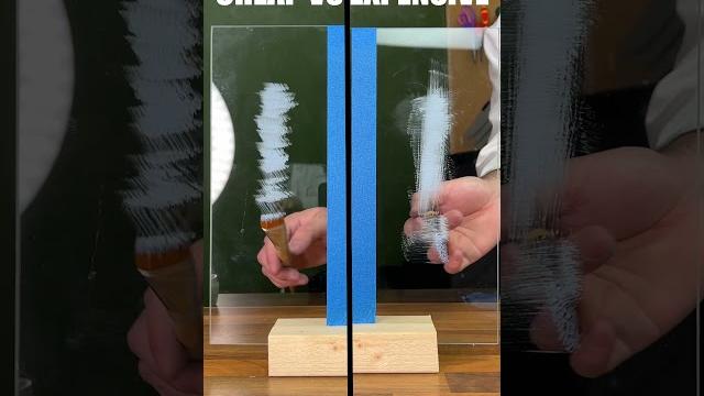 We tested cheap vs expensive paint brushes! We tested cheap vs expensive paint brushes!