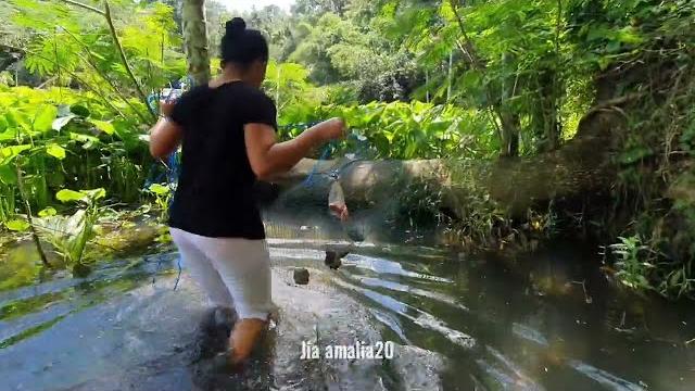Hunting fish 9 Hunting fish 9