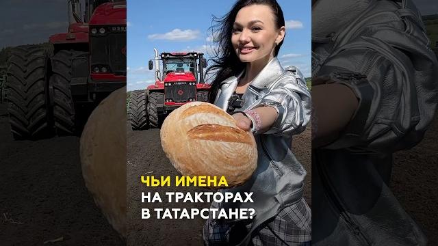 Назвали трактора в память о дедах-героях вов: акция памяти от механизаторов хк «чистополье» #казань Назвали трактора в память о дедах-героях вов: акция памяти от механизаторов хк «чистополье» #казань
