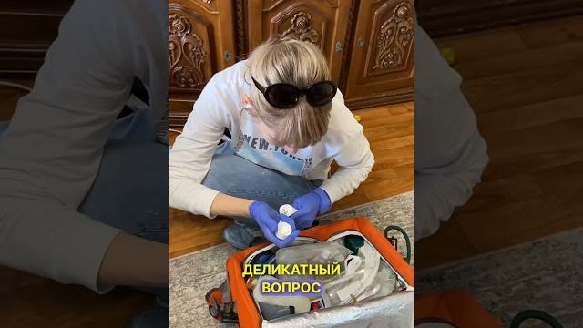 Что делать, если у кота запор? Что делать, если у кота запор?