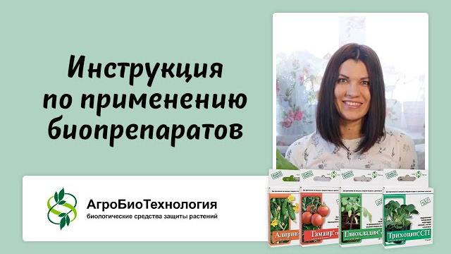 Краткая видео-инструкция по применению биопрепаратов алирин-б, гамаир, глиокладин и трихоцин Краткая видео-инструкция по применению биопрепаратов алирин-б, гамаир, глиокладин и трихоцин