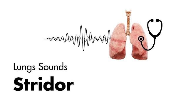 Stridor - lung sounds - medzcool Stridor - lung sounds - medzcool