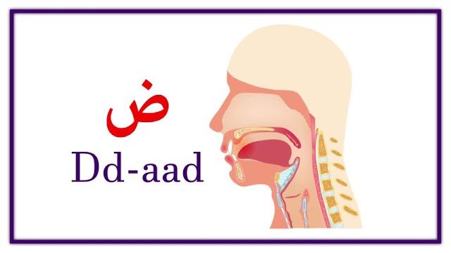 Arabic alphabet pronunciation Arabic alphabet pronunciation