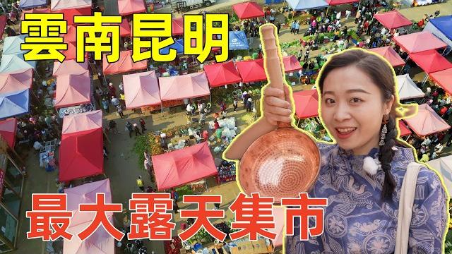 雲南昆明600年露天集市趕集,像進入野菜博物館,特色美食超低價,100元根本花不完!600-year open market food tour in yunnan, china. 雲南昆明600年露天集市趕集,像進入野菜博物館,特色美食超低價,100元根本花不完!600-year open market food tour in yunnan, china.