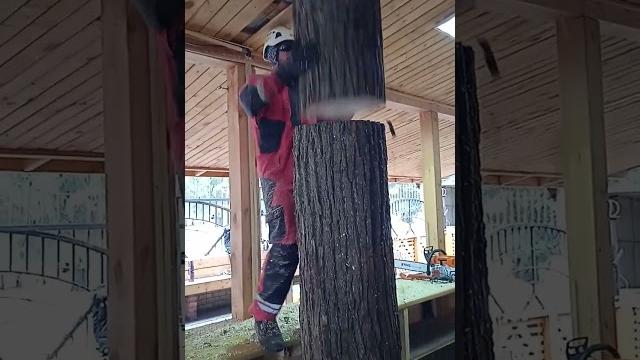 Дерево через крышу Дерево через крышу