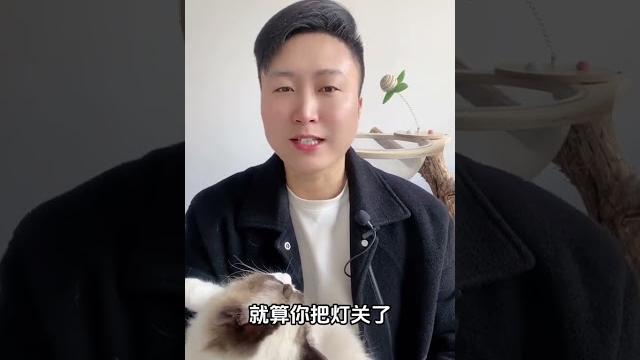猫咪眼中,人类的羞羞行为 。养猫知识 养猫经验分享 新手养宠 养猫日常 猫咪 猫咪眼中,人类的羞羞行为 。养猫知识 养猫经验分享 新手养宠 养猫日常 猫咪