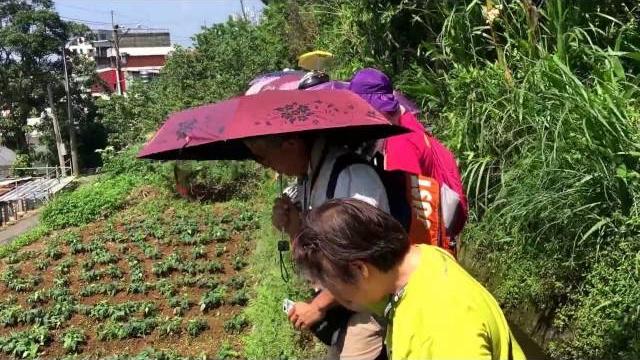 何清山解說種地瓜 何清山解說種地瓜