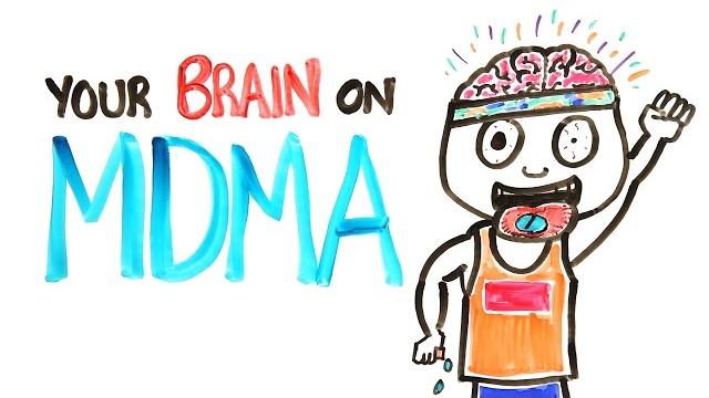 Your brain on mdma Your brain on mdma