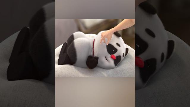 【熊猫班卜】wake up!!! bamboo!!!#panda #chinese #cute 【熊猫班卜】wake up!!! bamboo!!!#panda #chinese #cute
