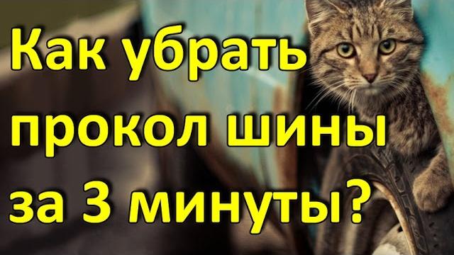 Дром омск авто Дром омск авто