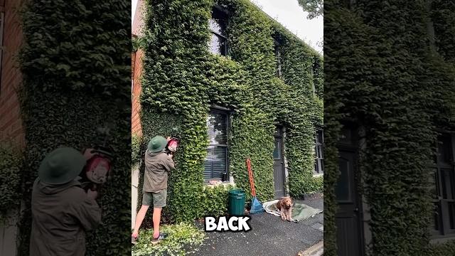 Wait till you see the end | part 3 #satisfyingvideo #asmr #cleaning #garden #satisfying Wait till you see the end | part 3 #satisfyingvideo #asmr #cleaning #garden #satisfying