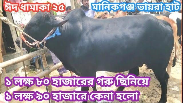 ৮০ হাজারের গরু ছিনিয়ে ৯০ হাজারে কেনা হলো মানিকগঞ্জ বায়রা হাটে" আজ "মঙ্গলবার ২৭সে মে ২৫ " ৮০ হাজারের গরু ছিনিয়ে ৯০ হাজারে কেনা হলো মানিকগঞ্জ বায়রা হাটে" আজ "মঙ্গলবার ২৭সে মে ২৫ "