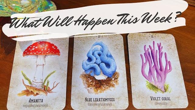 The next seven days what will happen pick a card The next seven days what will happen pick a card