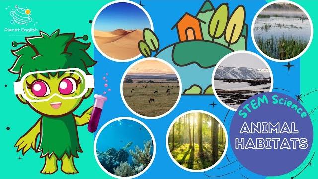 Animal habitats | ks1 science | stem and beyond Animal habitats | ks1 science | stem and beyond