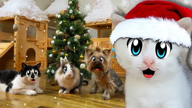 24 часа украшаем ёлку на новый год! кто лучше украсит челлендж 24 часа украшаем ёлку на новый год! кто лучше украсит челлендж