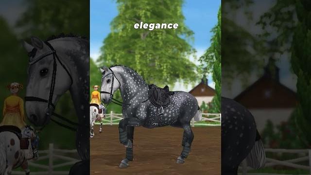 #horse #horses #sso #starstablehorses #starstable #starstableonline #starstableonlinehorses #horse #horses #sso #starstablehorses #starstable #starstableonline #starstableonlinehorses