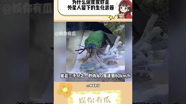 为什么说皮皮虾是外星人留下来的生化武器 #万万没想到 #搞笑 #离谱 为什么说皮皮虾是外星人留下来的生化武器 #万万没想到 #搞笑 #离谱