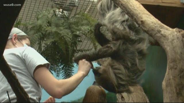 Animal sex at the zoo: how keepers make breeding matches Animal sex at the zoo: how keepers make breeding matches