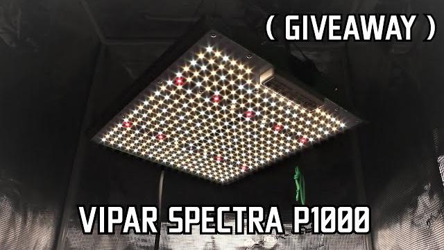 Vipar spectra p1000 unboxing Vipar spectra p1000 unboxing