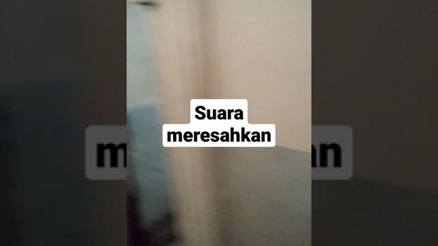 Suara meresahkan, mau ku gedor tapi... ah sudahlah :v Suara meresahkan, mau ku gedor tapi... ah sudahlah :v