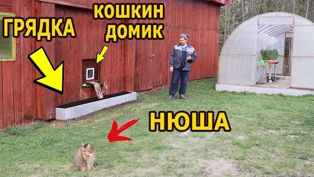 Эксклюзивная грядка для кошек! Эксклюзивная грядка для кошек!