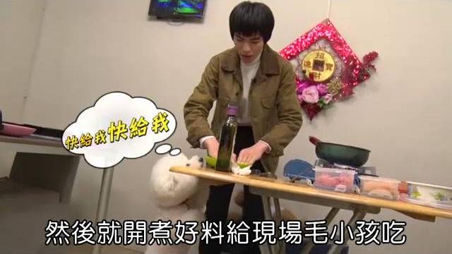 蕭敬騰愛犬cos年獸萌迎春肉餅誘屋虎叛逃jolin--蘋果日報20160210 蕭敬騰愛犬cos年獸萌迎春肉餅誘屋虎叛逃jolin--蘋果日報20160210