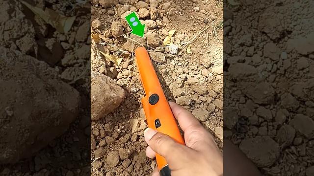 Gold hunting using metal detector #goldhunting#metaldetecting #goldcollector #shortsfeed #beats Gold hunting using metal detector #goldhunting#metaldetecting #goldcollector #shortsfeed #beats